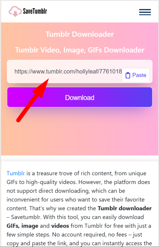 Paste the link into Tumblr GIF Downloader