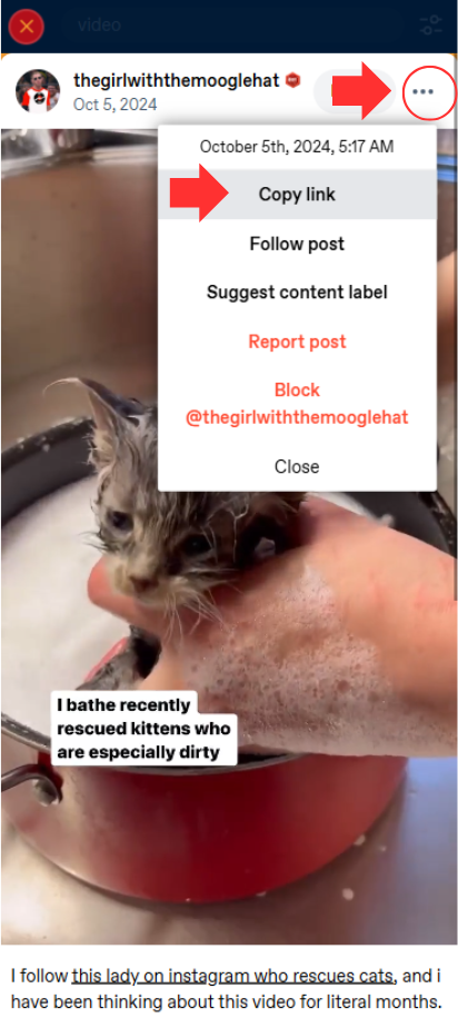 copy-url-video