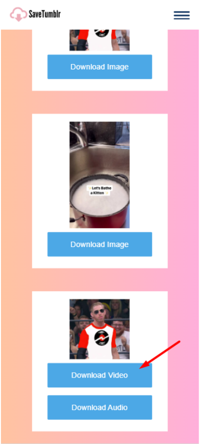 Download Video